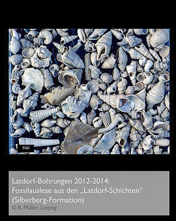 %_tempFileNameL01_latdorf-fossilien%