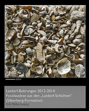 %_tempFileNameL05_latdorf-fossilien%