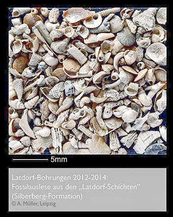 %_tempFileNameL06_latdorf-fossilien%