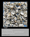 %_tempFileNameA005_atzendorf-fossilien%