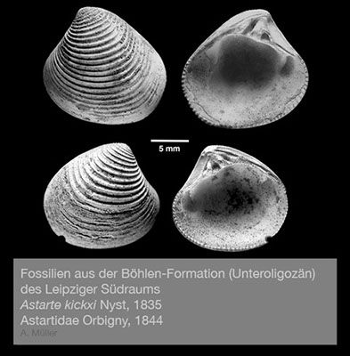 %_tempFileNameBB17_astarte%