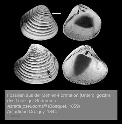 %_tempFileNameBB19_astarte%