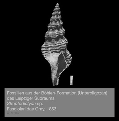 %_tempFileNameGB24_streptochet%