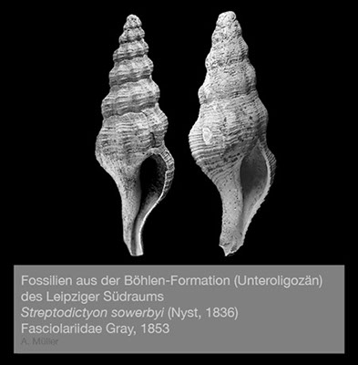 %_tempFileNameGB25_streptochet%