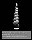 %_tempFileNamemammendorf_G_PG_13%