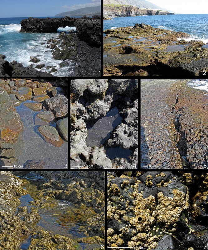 Felslitorale La Palma