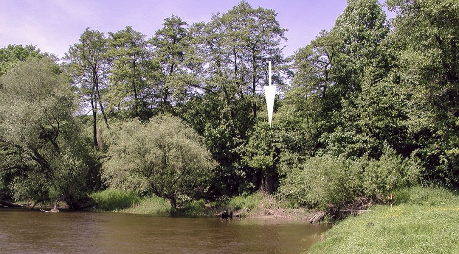 Aufschluss Elbe