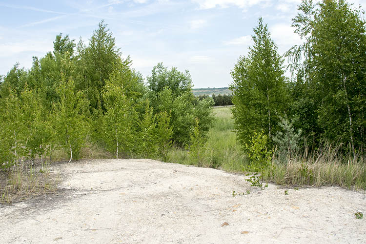 stoermthal B