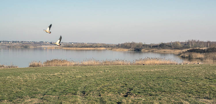 Markkleeberger See_A1