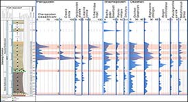 geologische Arbeiten in Latdorf Latdorf 1