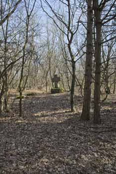 Rödel Steinbruchwald Rödel Steinbruchwald