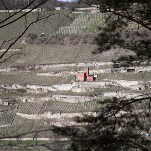 Wein Schweigenberg Wein Schweigenberg