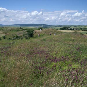 Rücken der Spatenberge Rücken Spatenberge